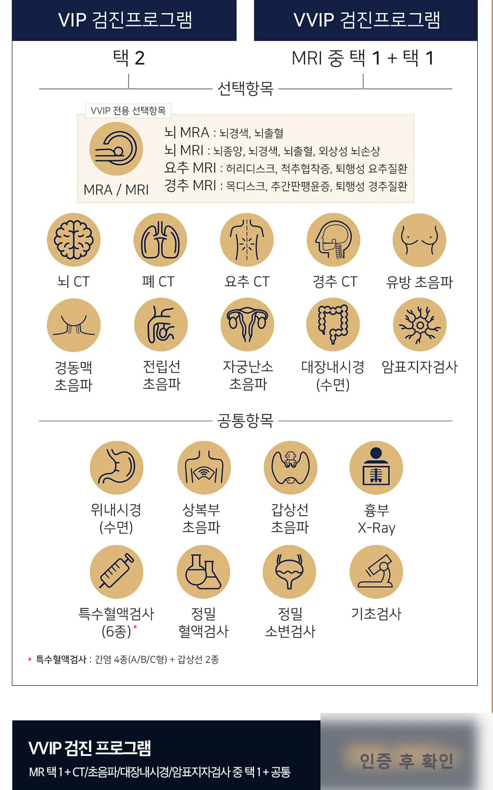 시술 상세 2