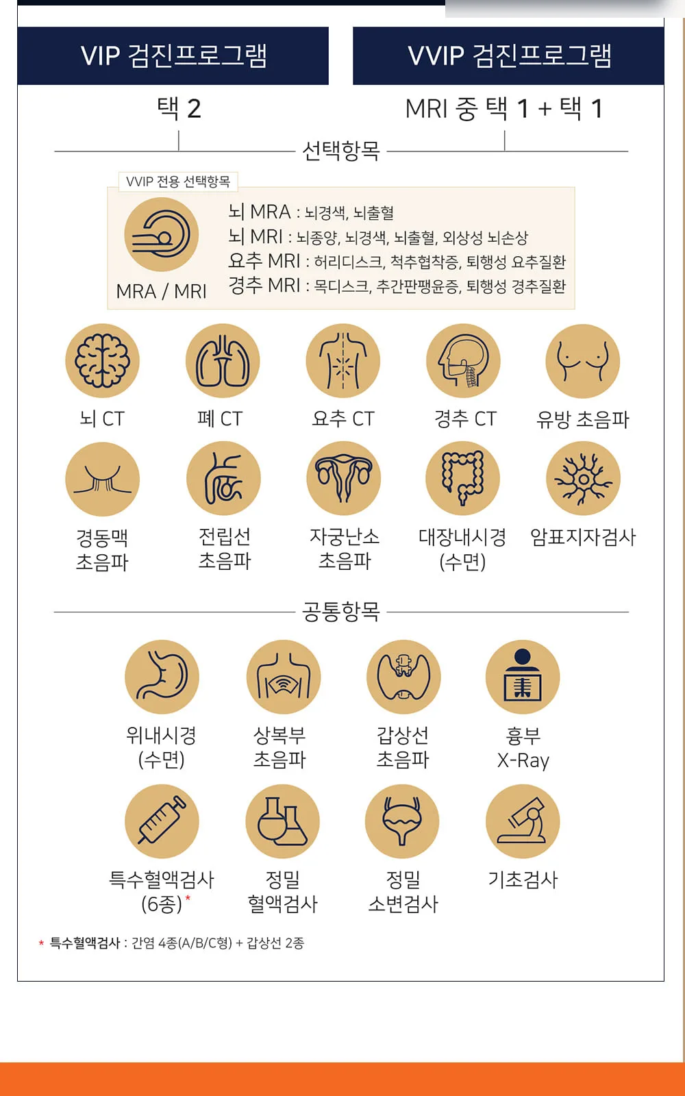 시술 상세 3