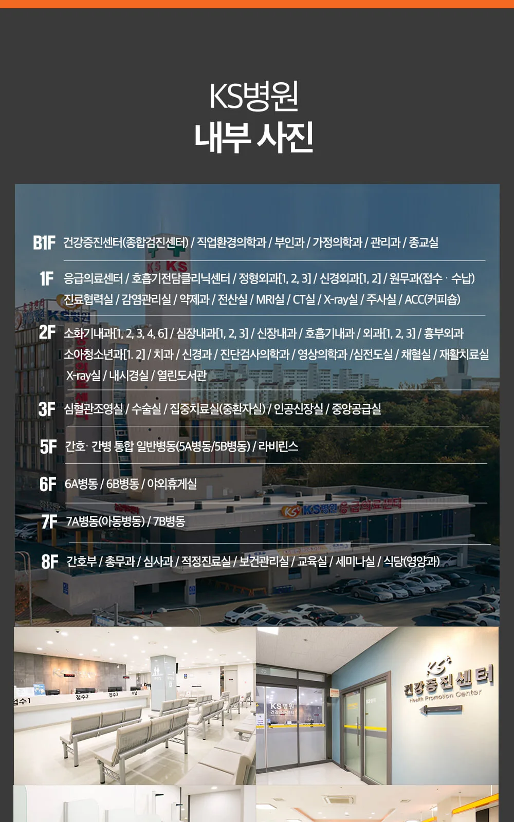 시술 상세 8