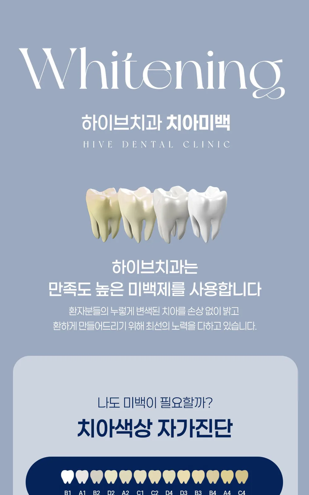 시술 상세 5