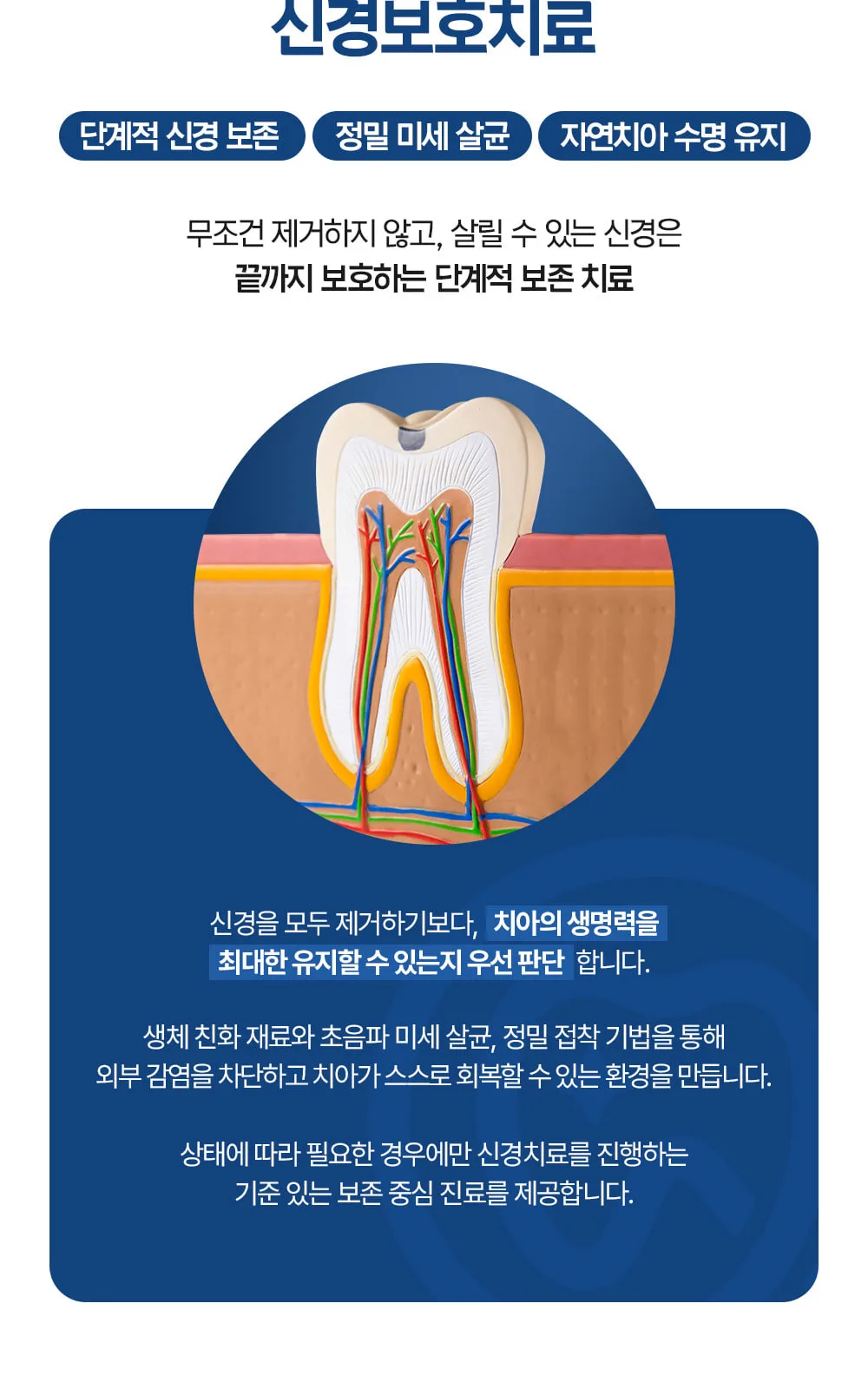 시술 상세 7
