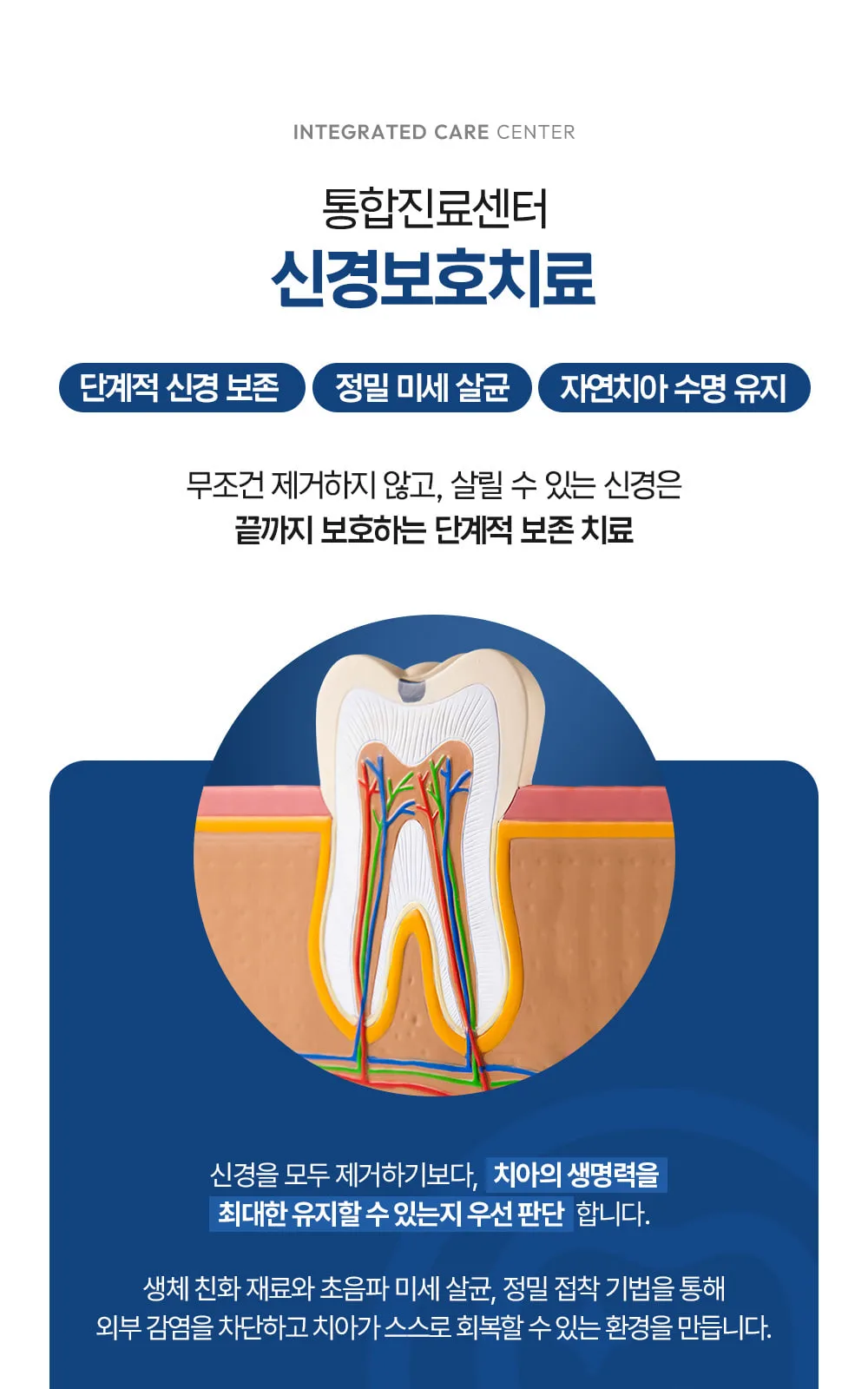 시술 상세 7