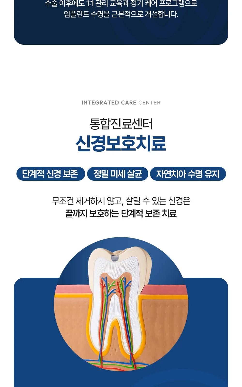 시술 상세 7