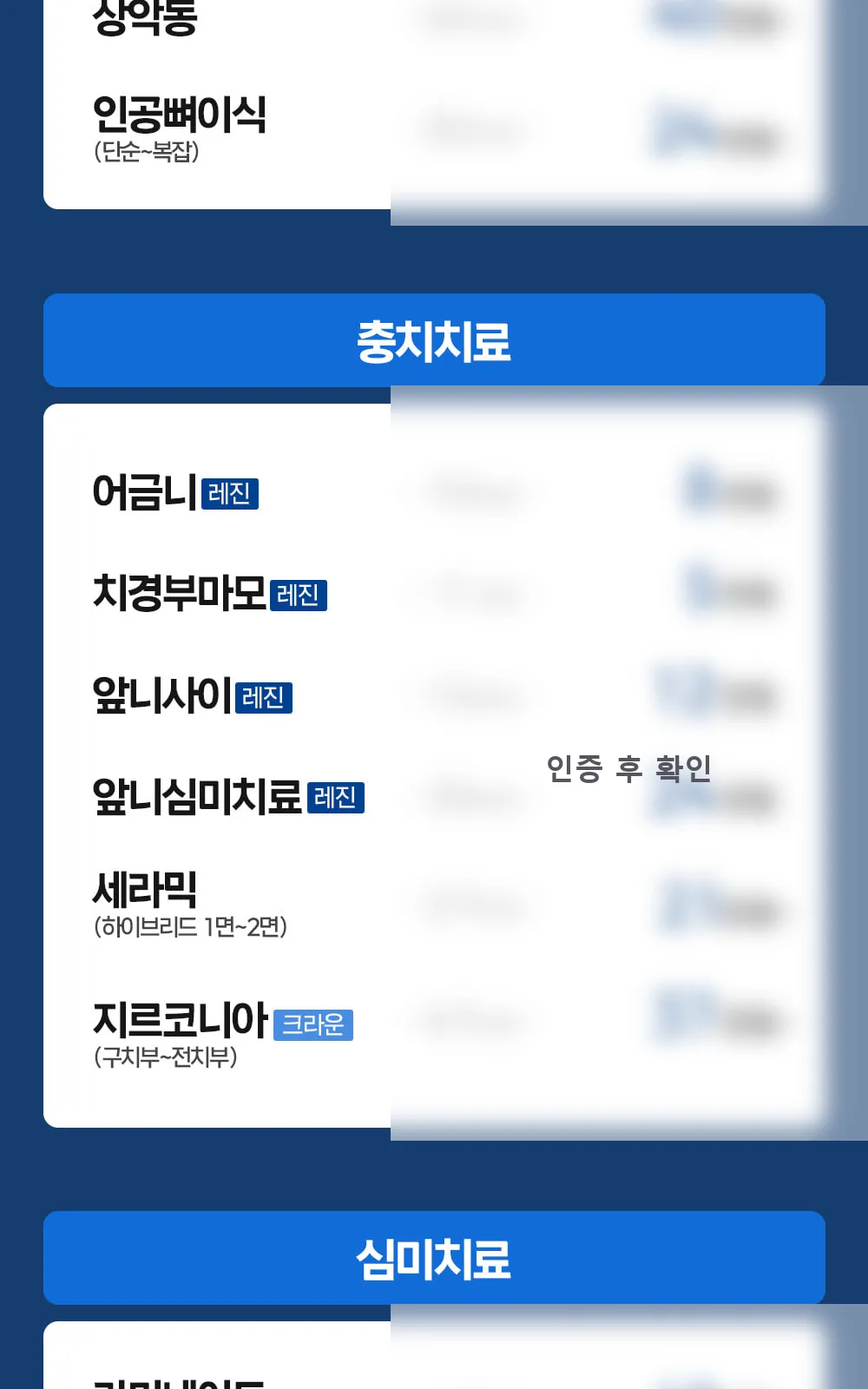 시술 상세 4