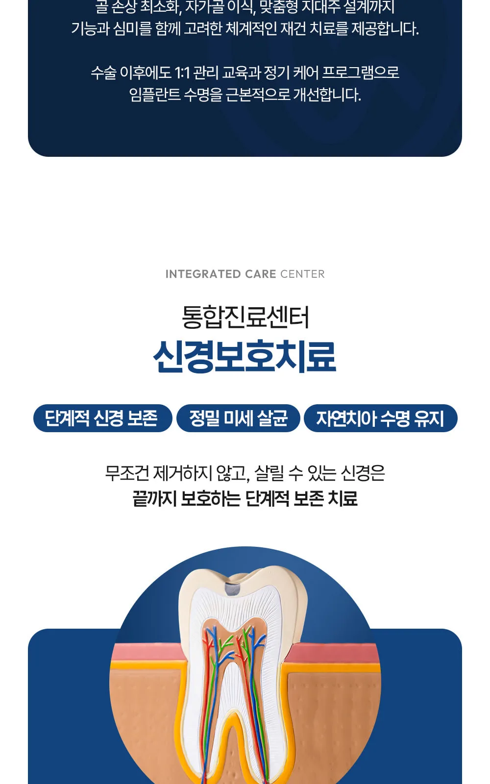 시술 상세 8