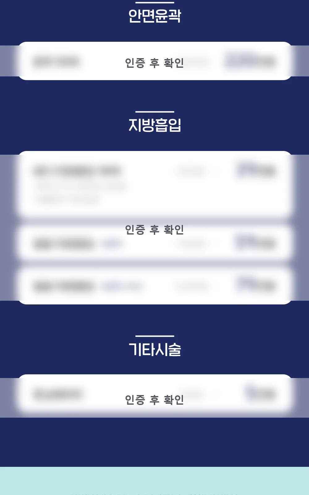 시술 상세 8
