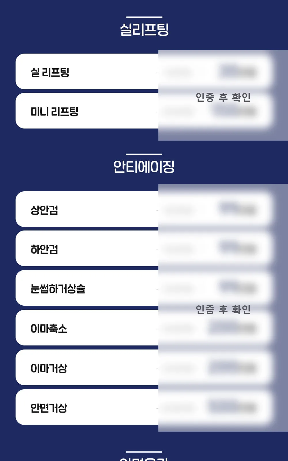 시술 상세 6