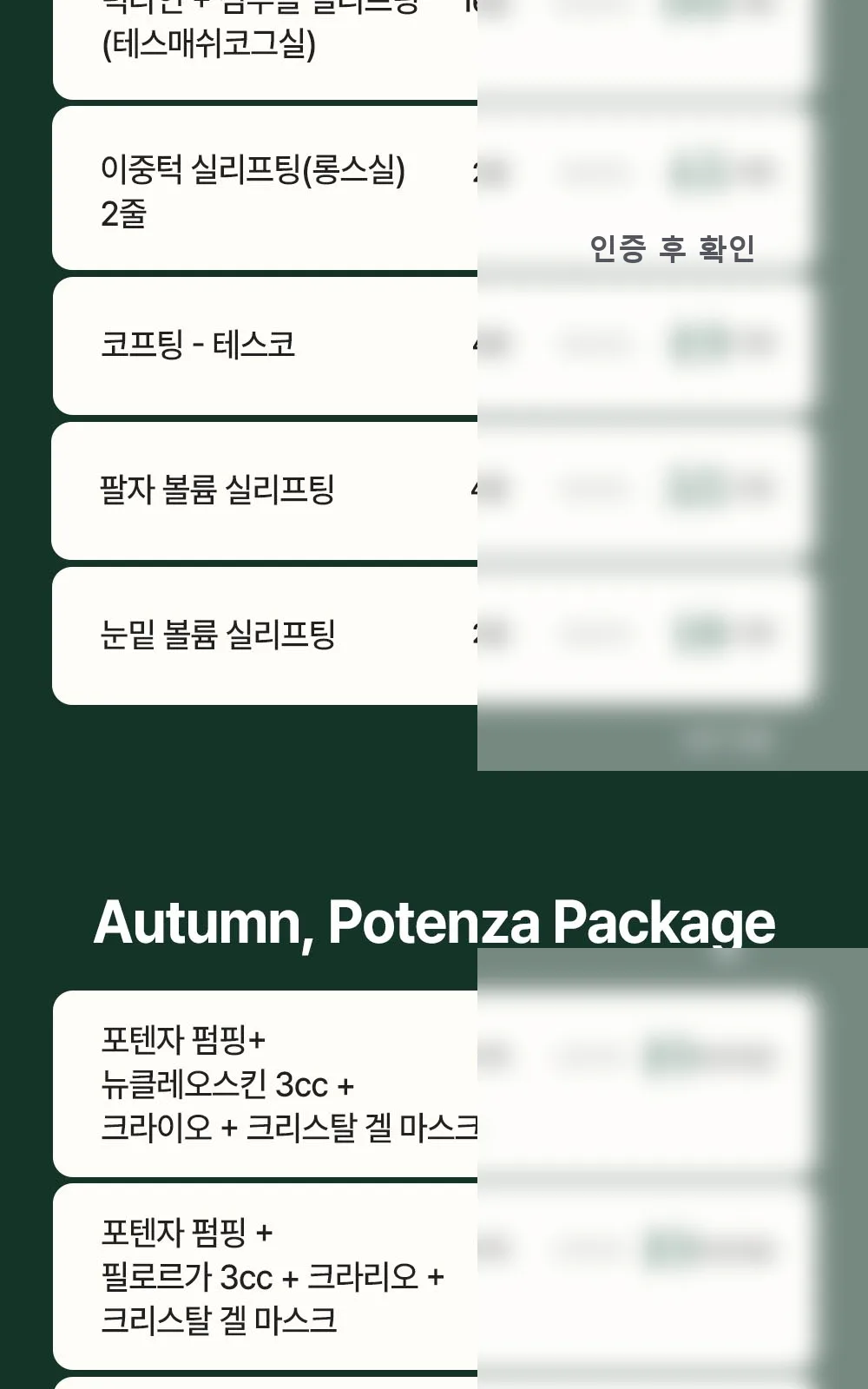 시술 상세 8