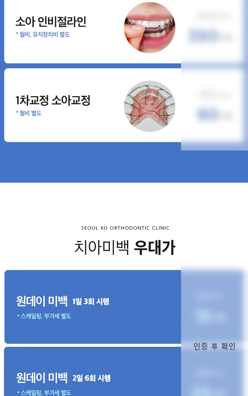 시술 상세 4