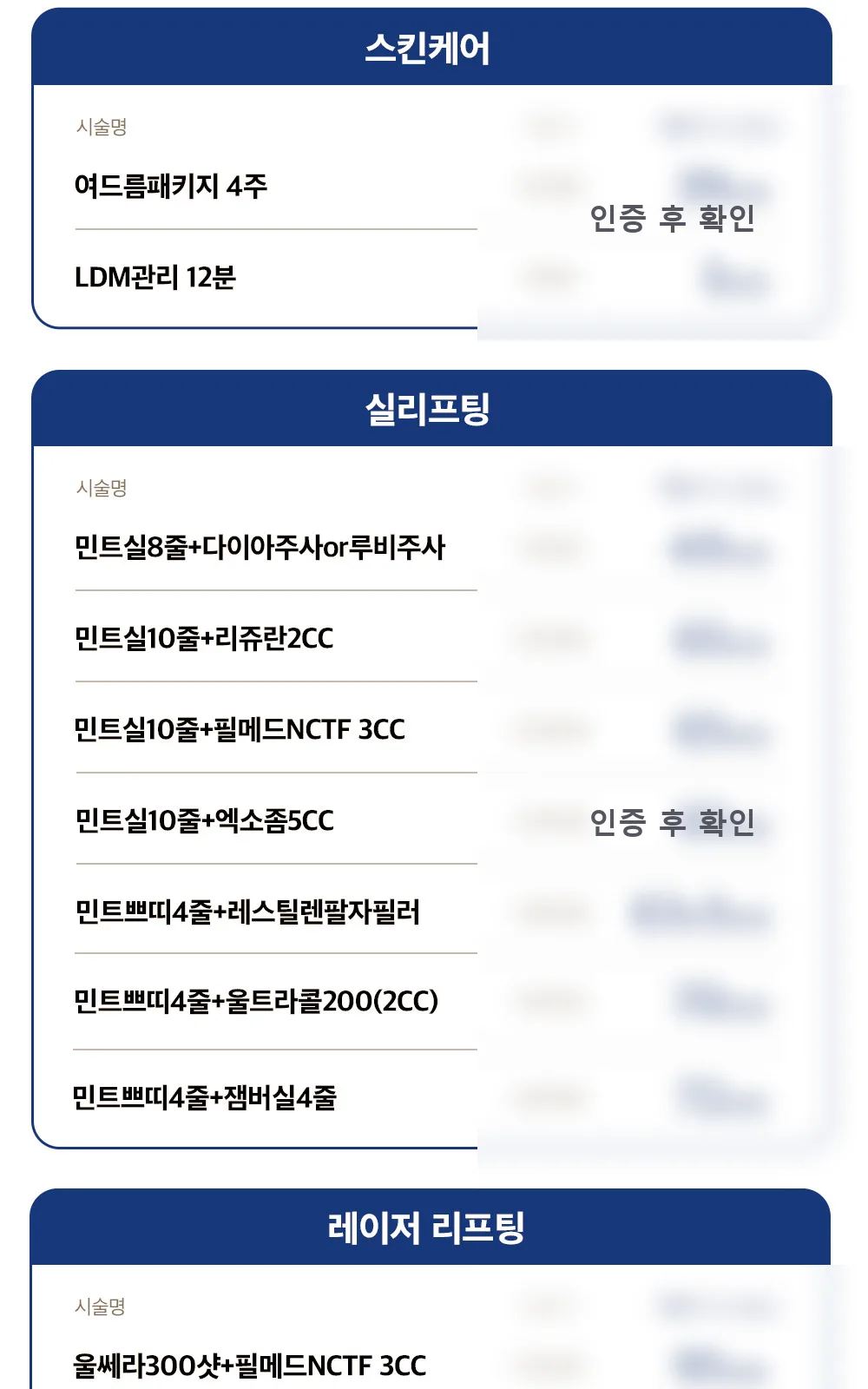 시술 상세 8
