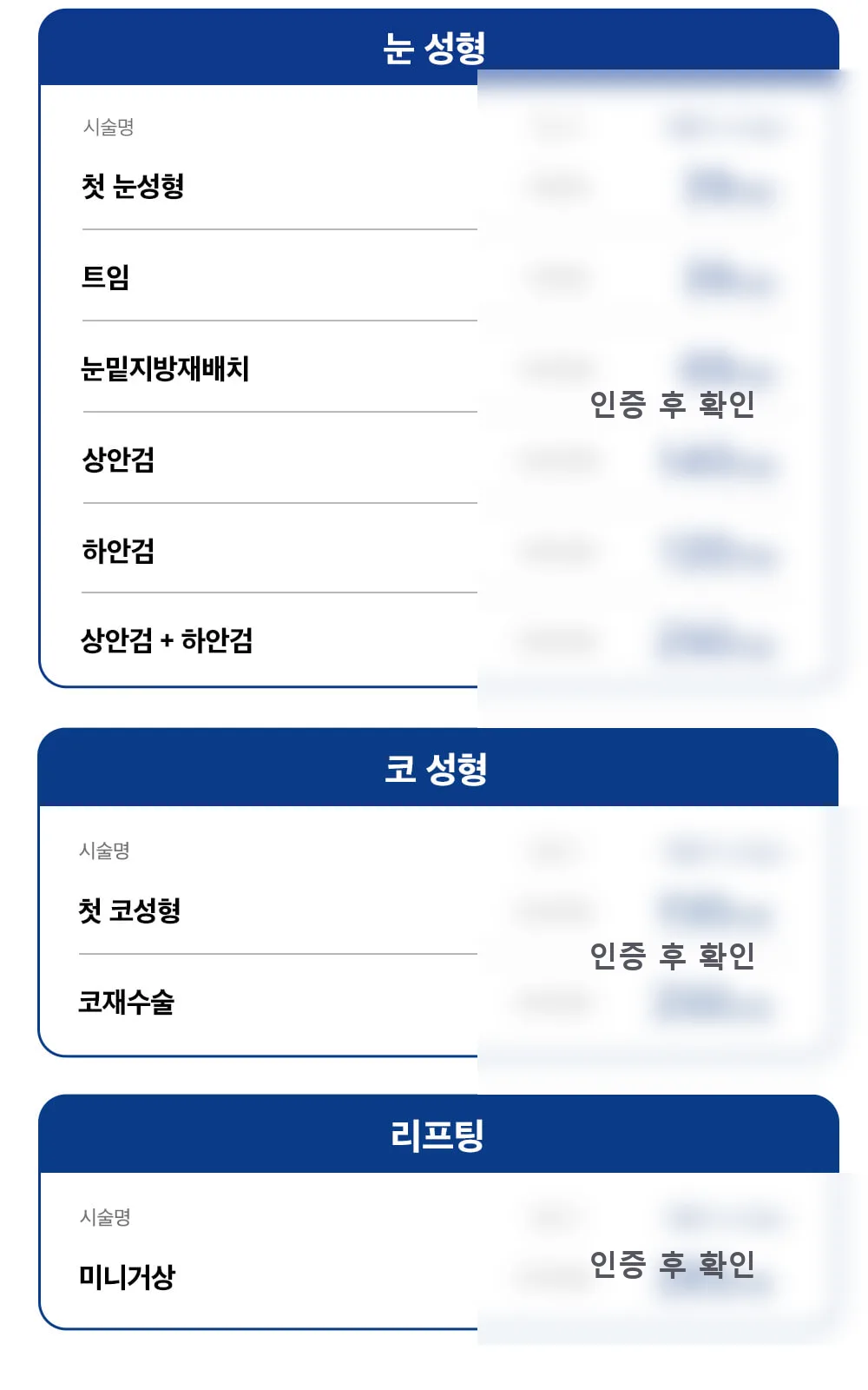 시술 상세 5