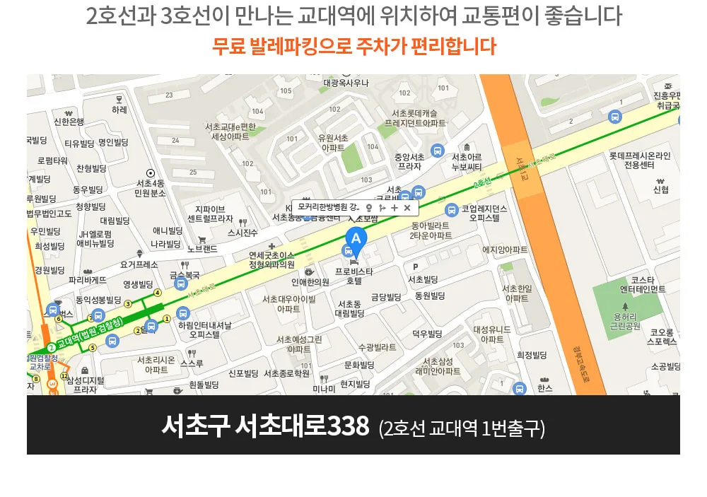 시술 상세 7