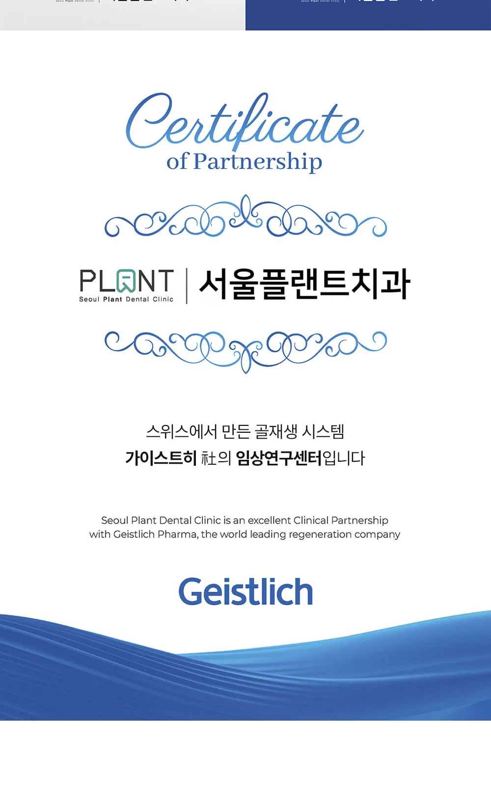 시술 상세 7
