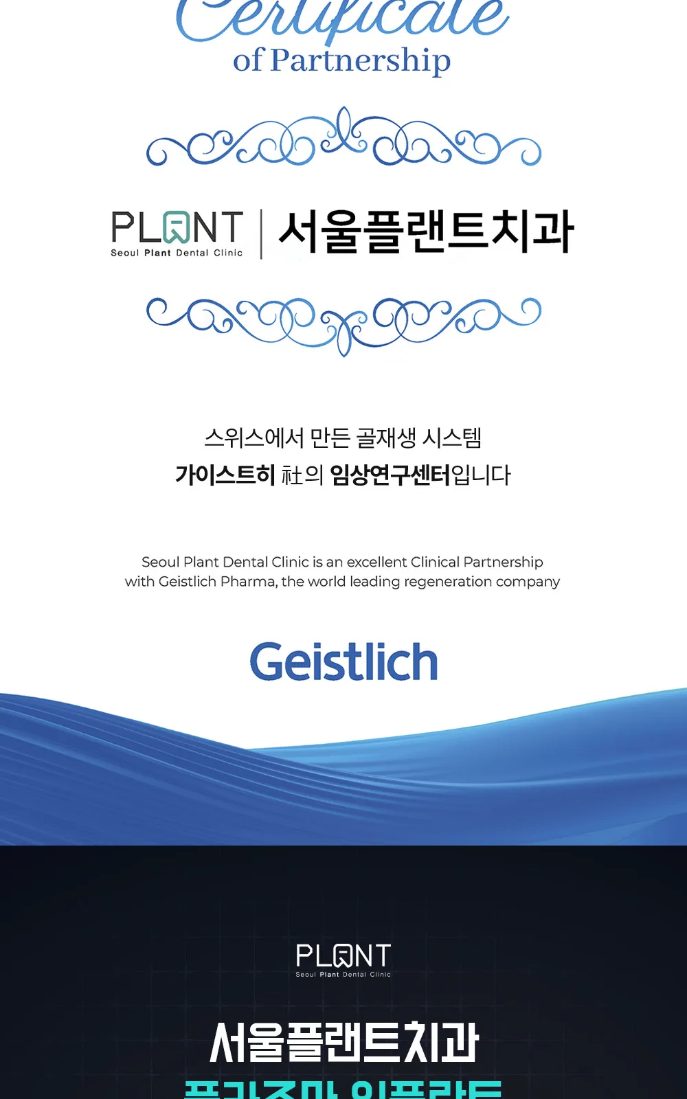 시술 상세 13