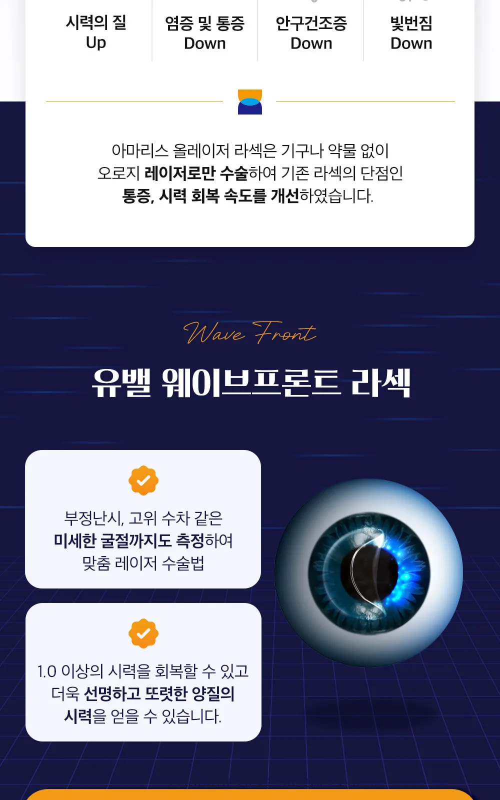 시술 상세 11