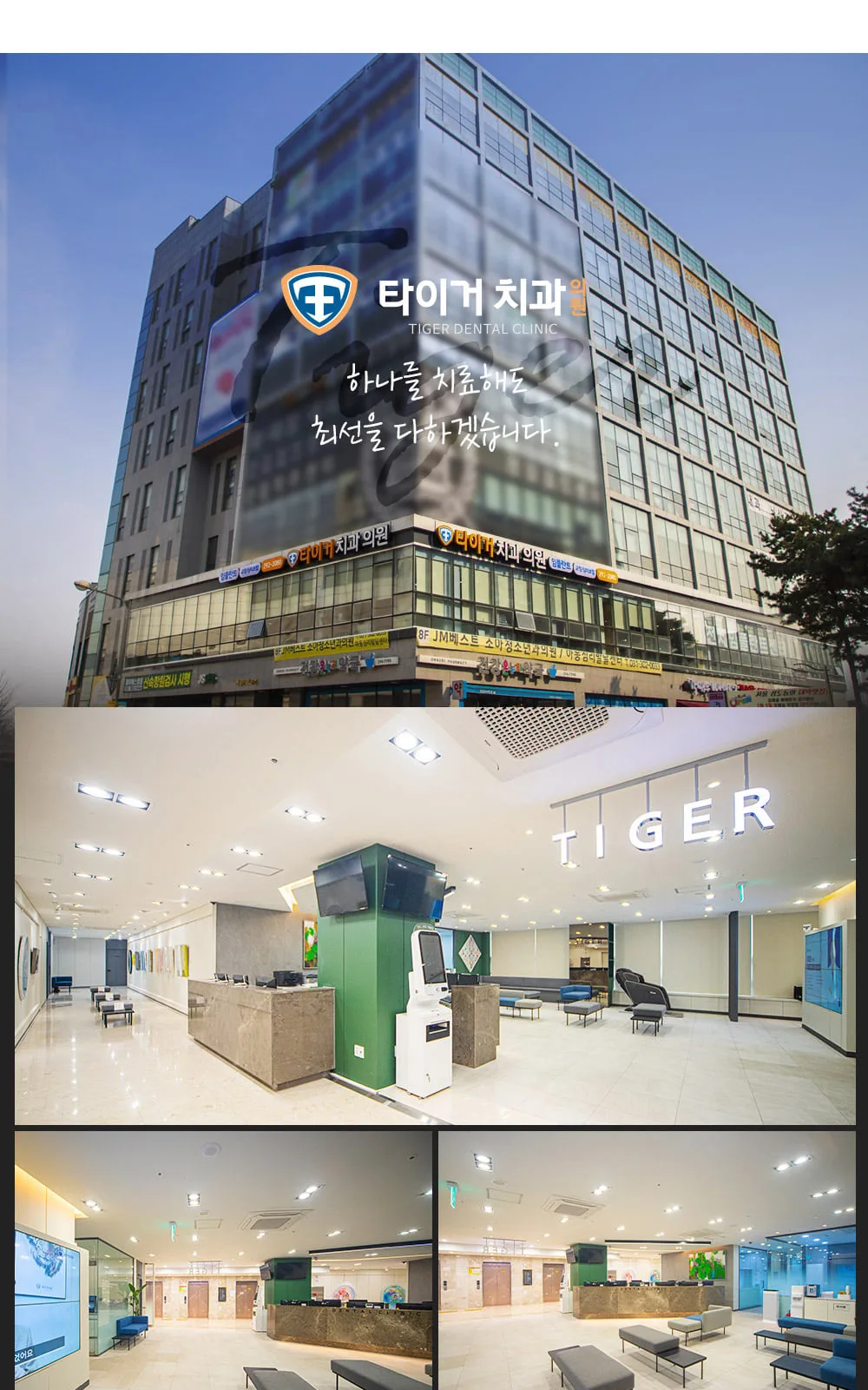 시술 상세 10