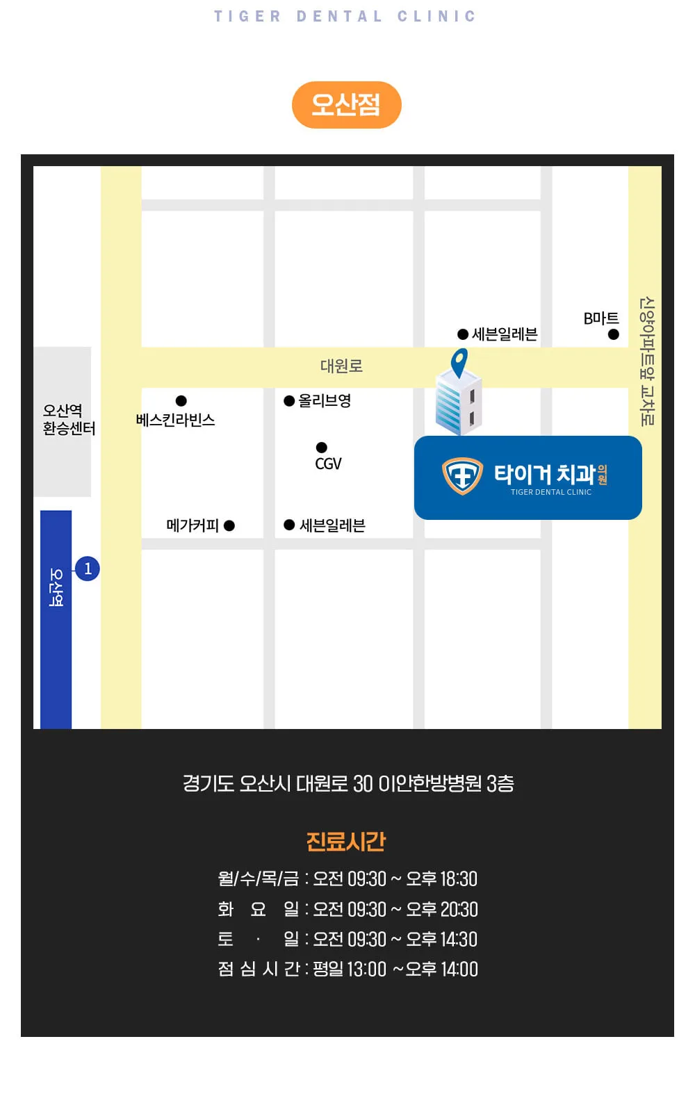 시술 상세 12