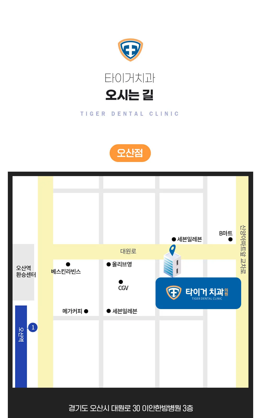 시술 상세 12