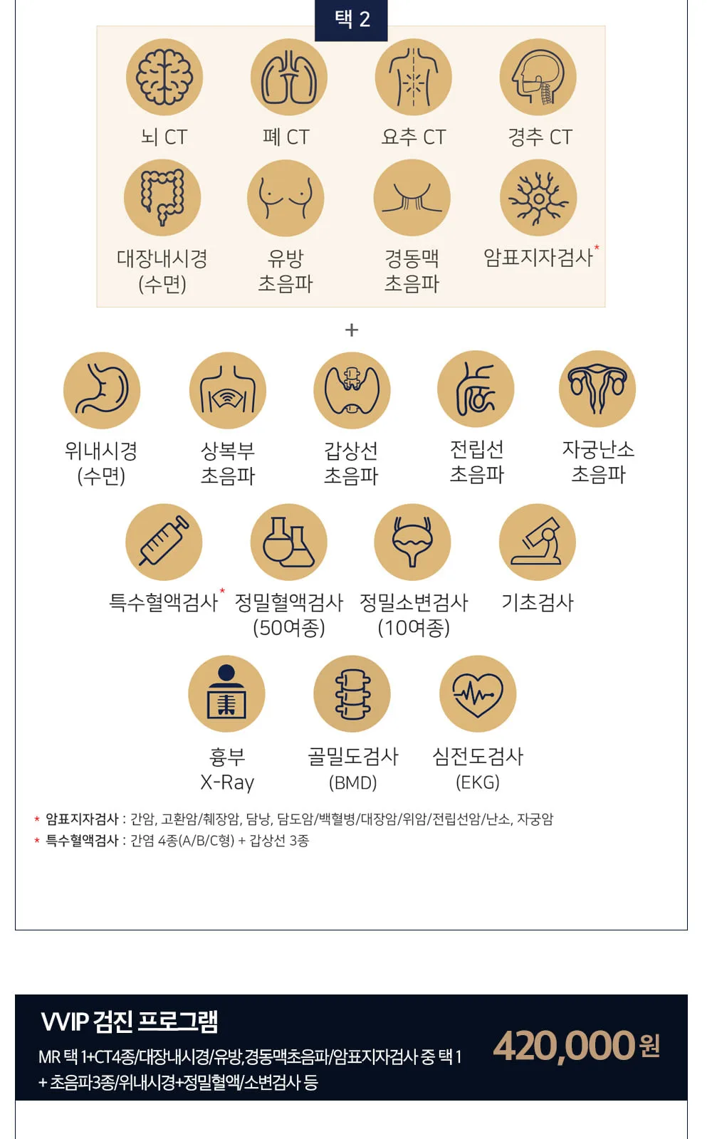 시술 상세 2
