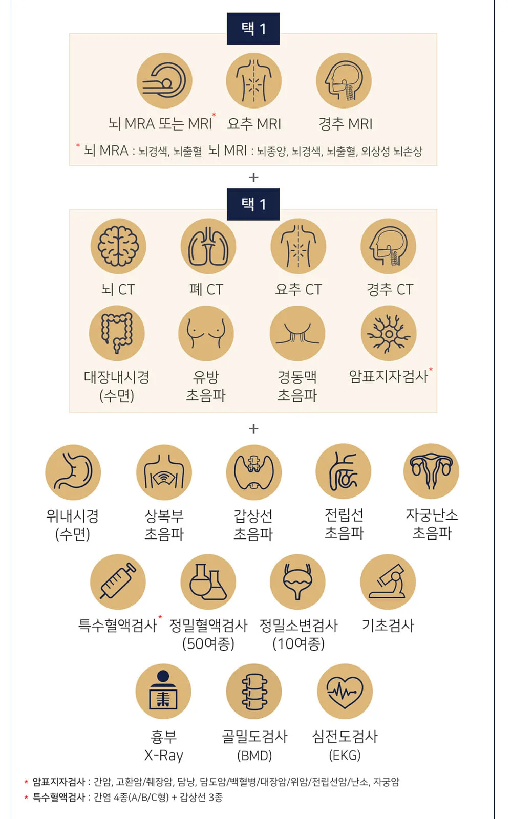 시술 상세 3