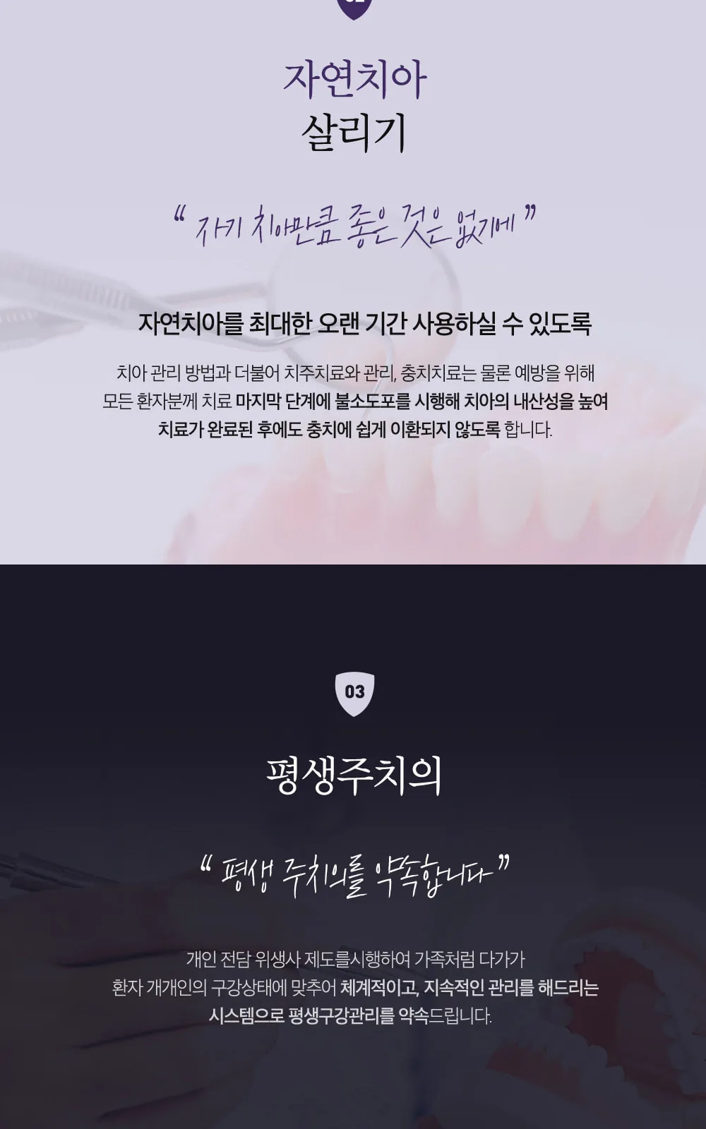 시술 상세 5