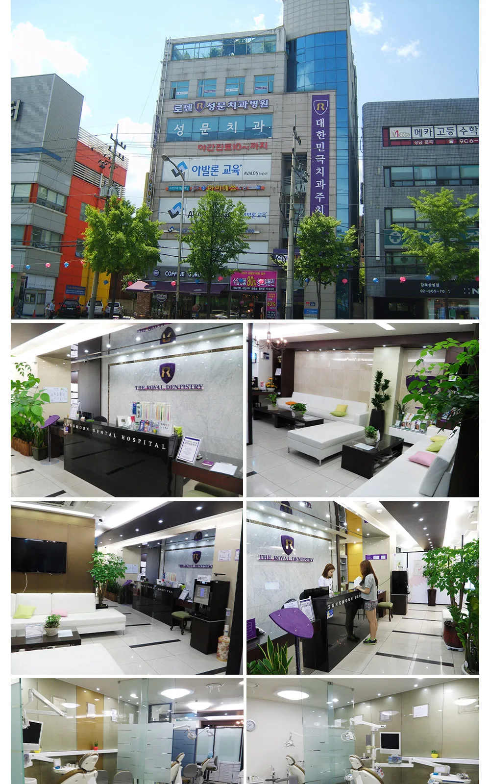 시술 상세 7