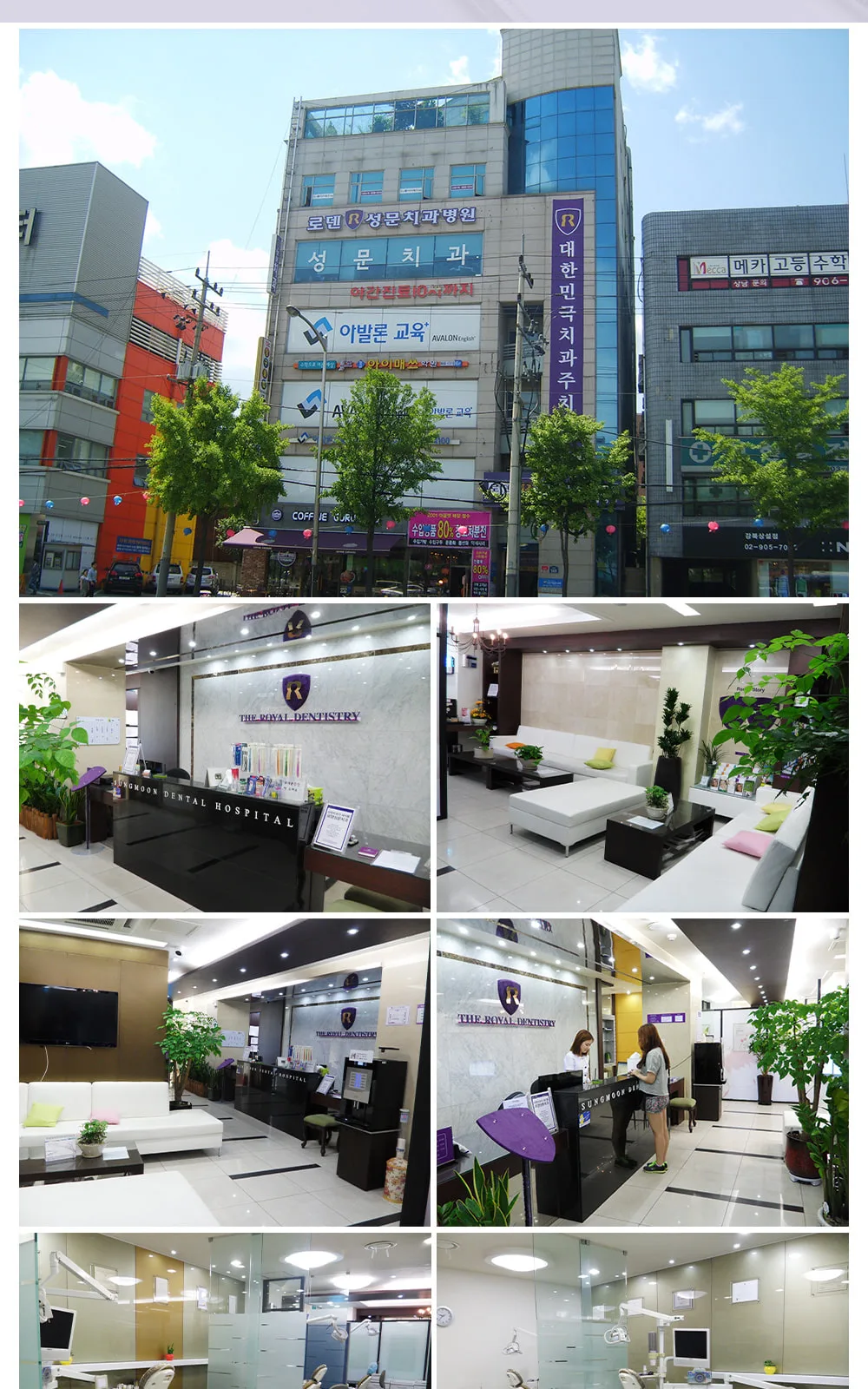 시술 상세 9