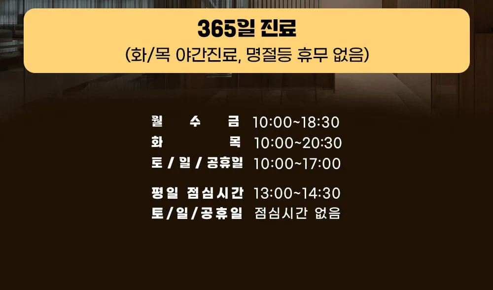 시술 상세 11