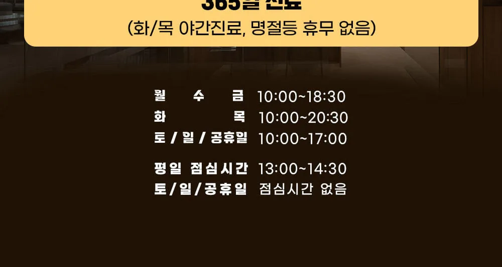 시술 상세 11