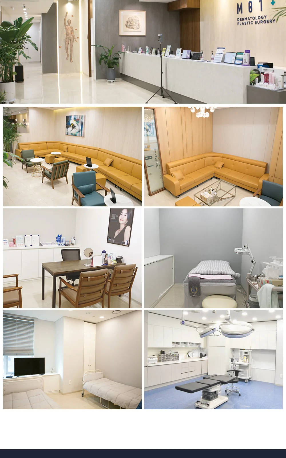 시술 상세 8