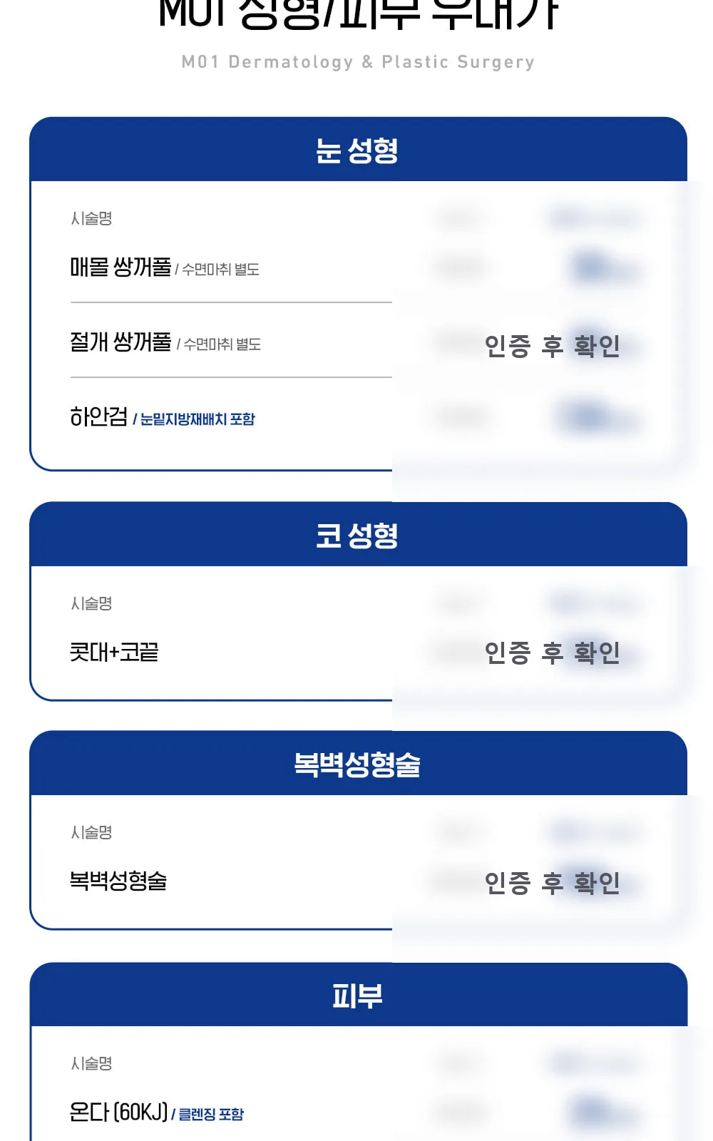 시술 상세 4