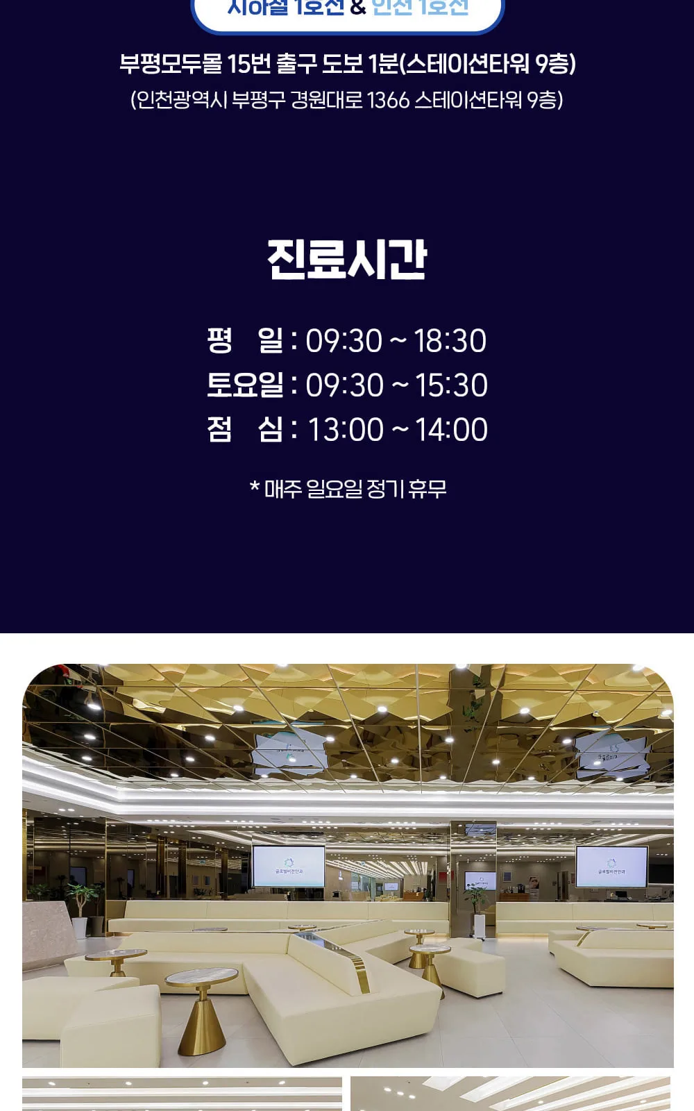 시술 상세 11