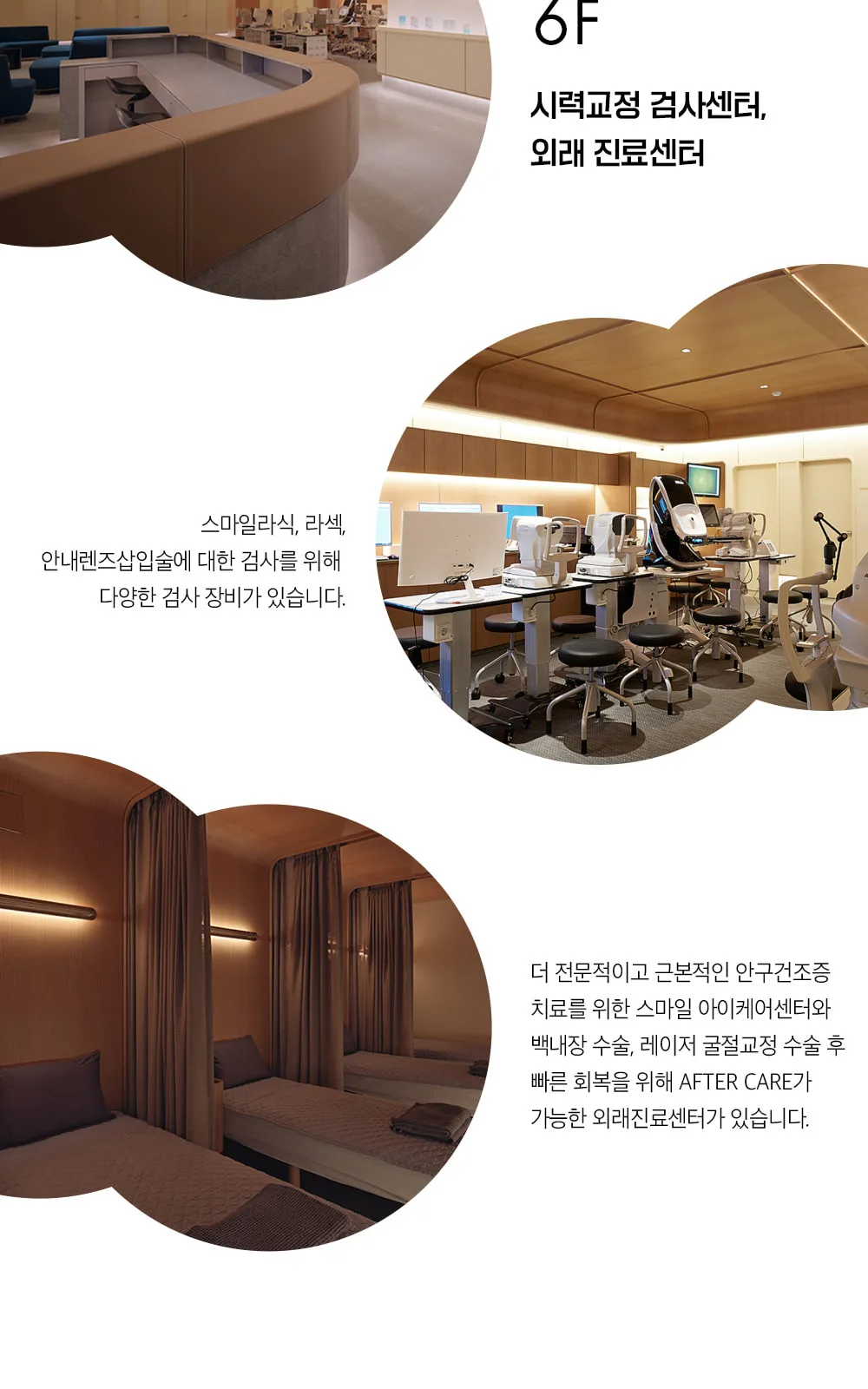 시술 상세 10