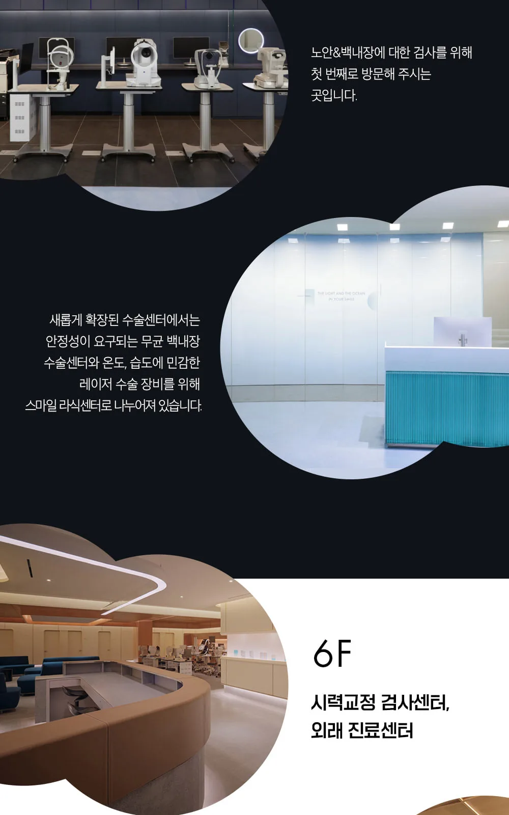 시술 상세 14