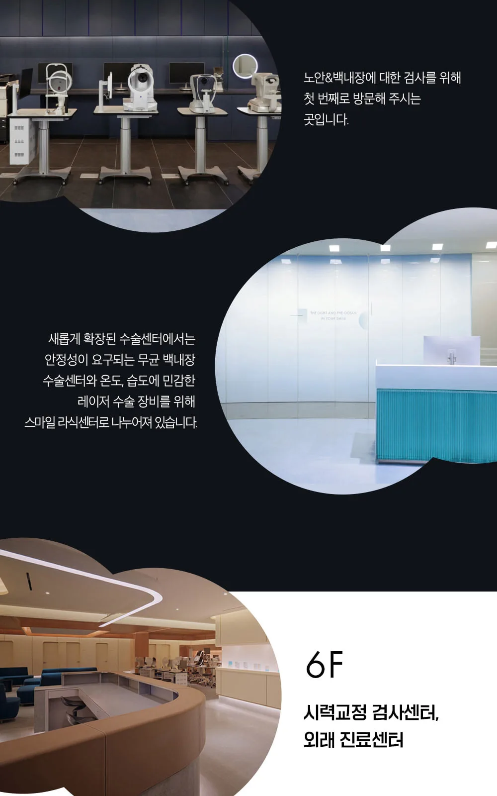 시술 상세 13