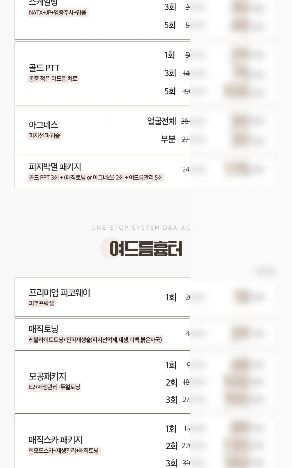 시술 상세 5