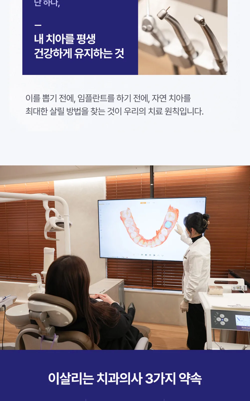 시술 상세 2