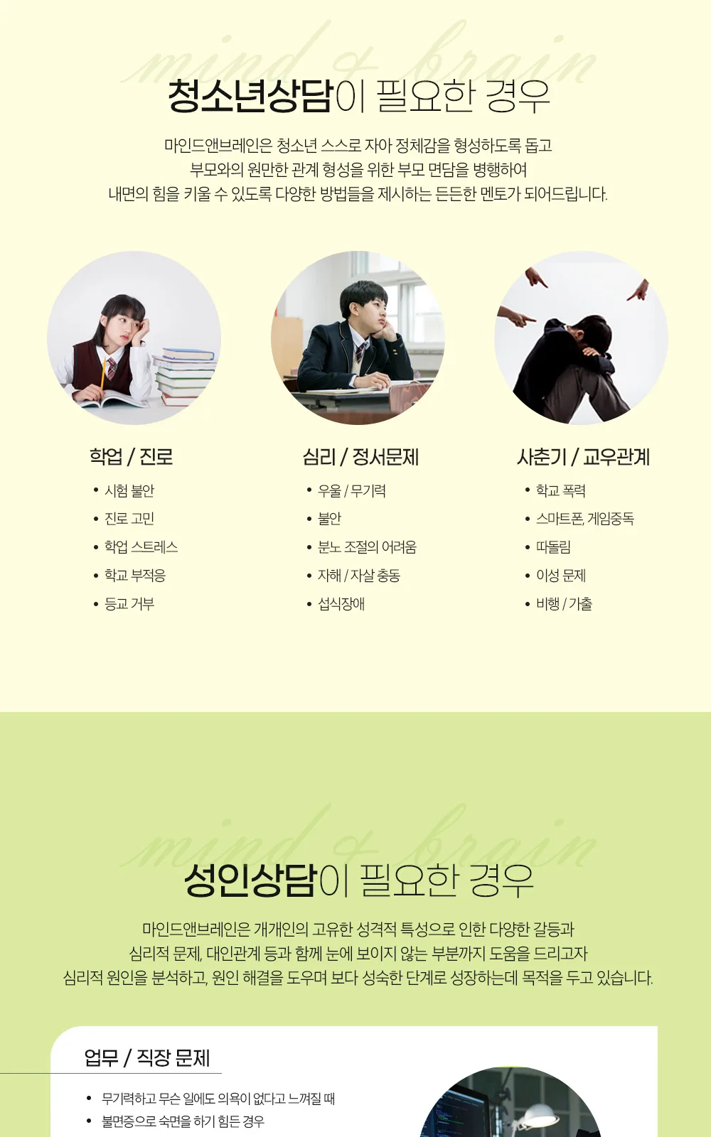 시술 상세 4