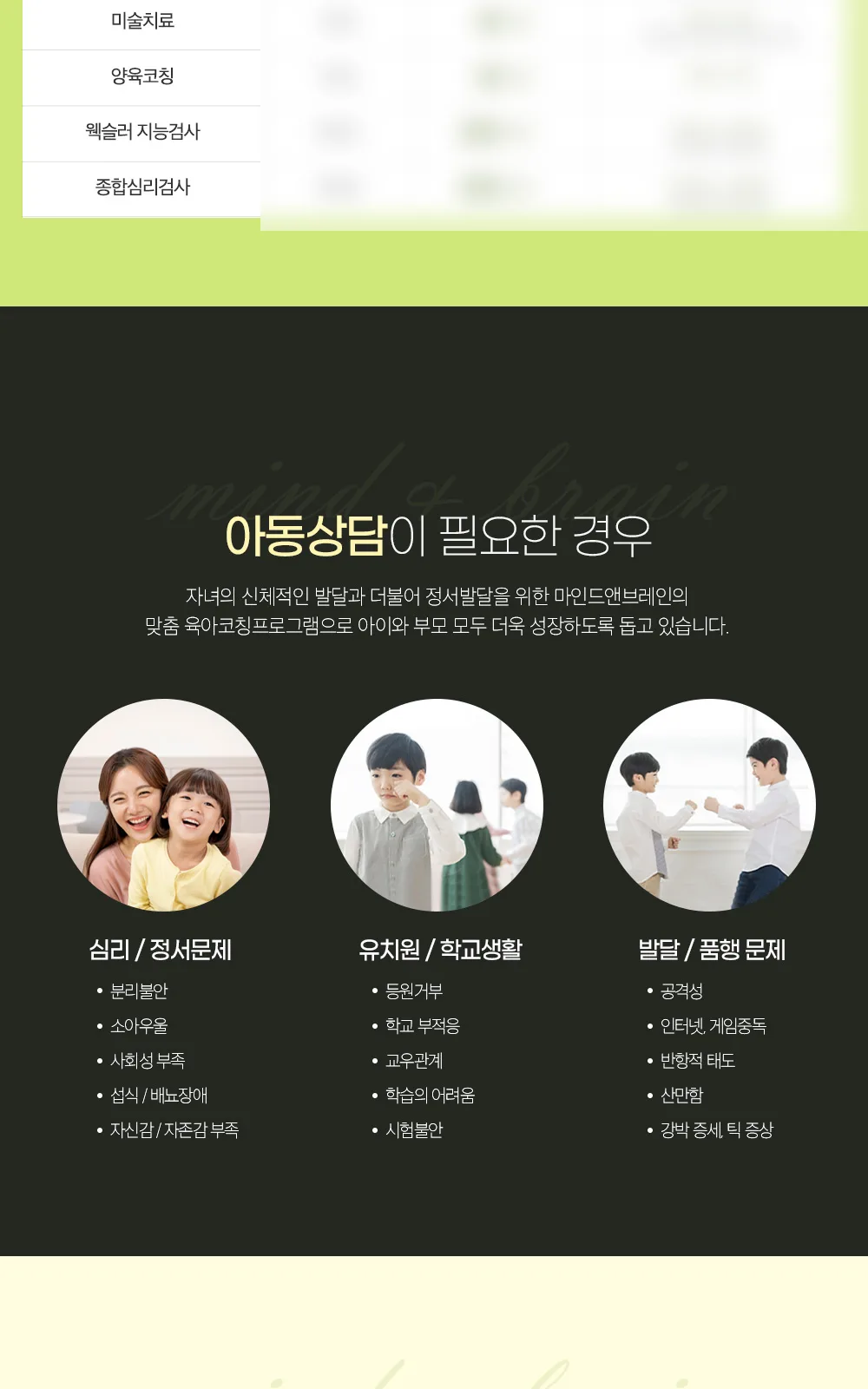 시술 상세 3