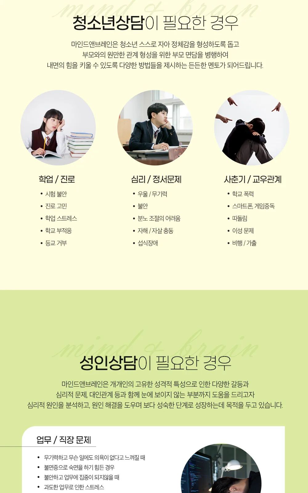 시술 상세 4