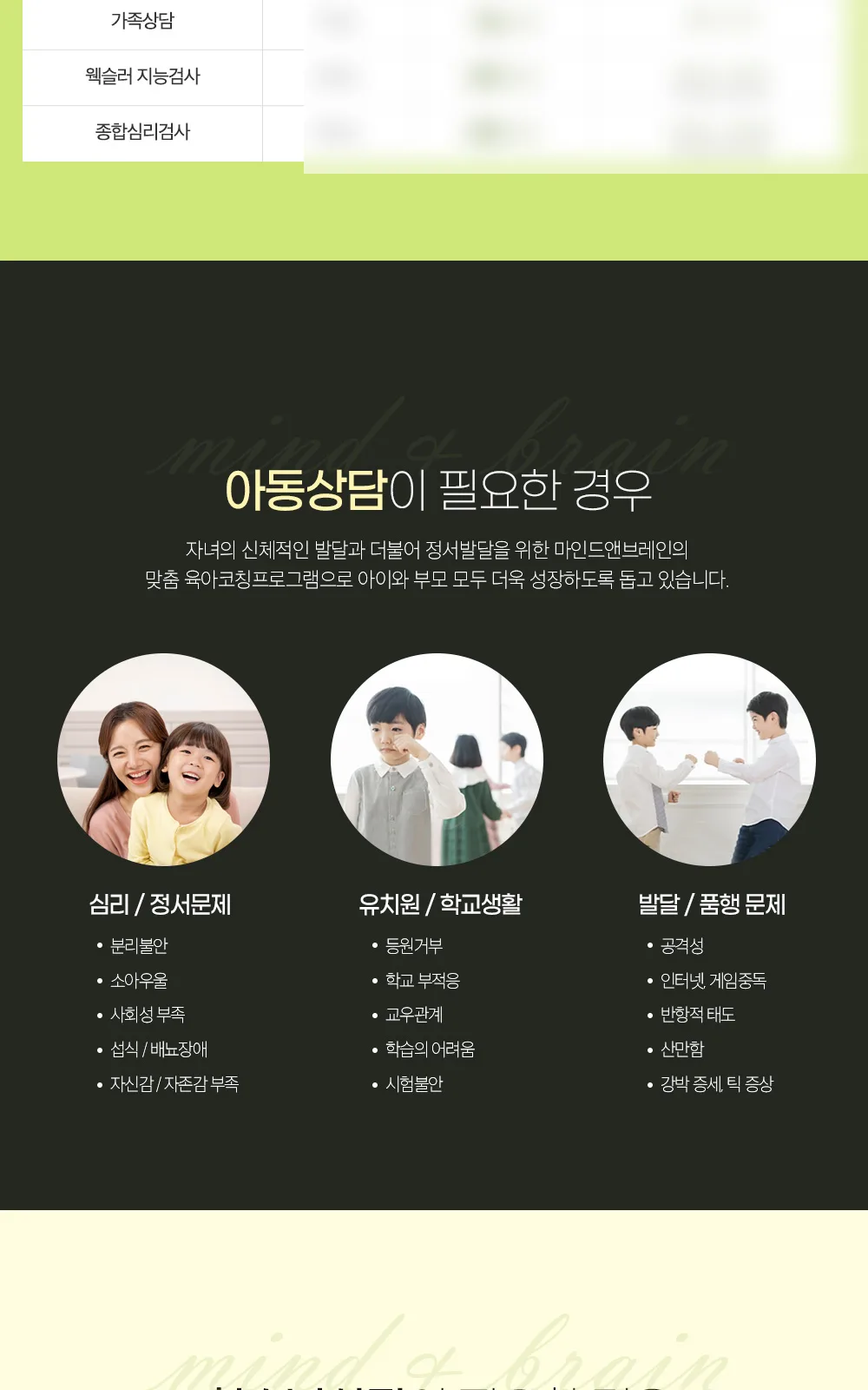 시술 상세 3