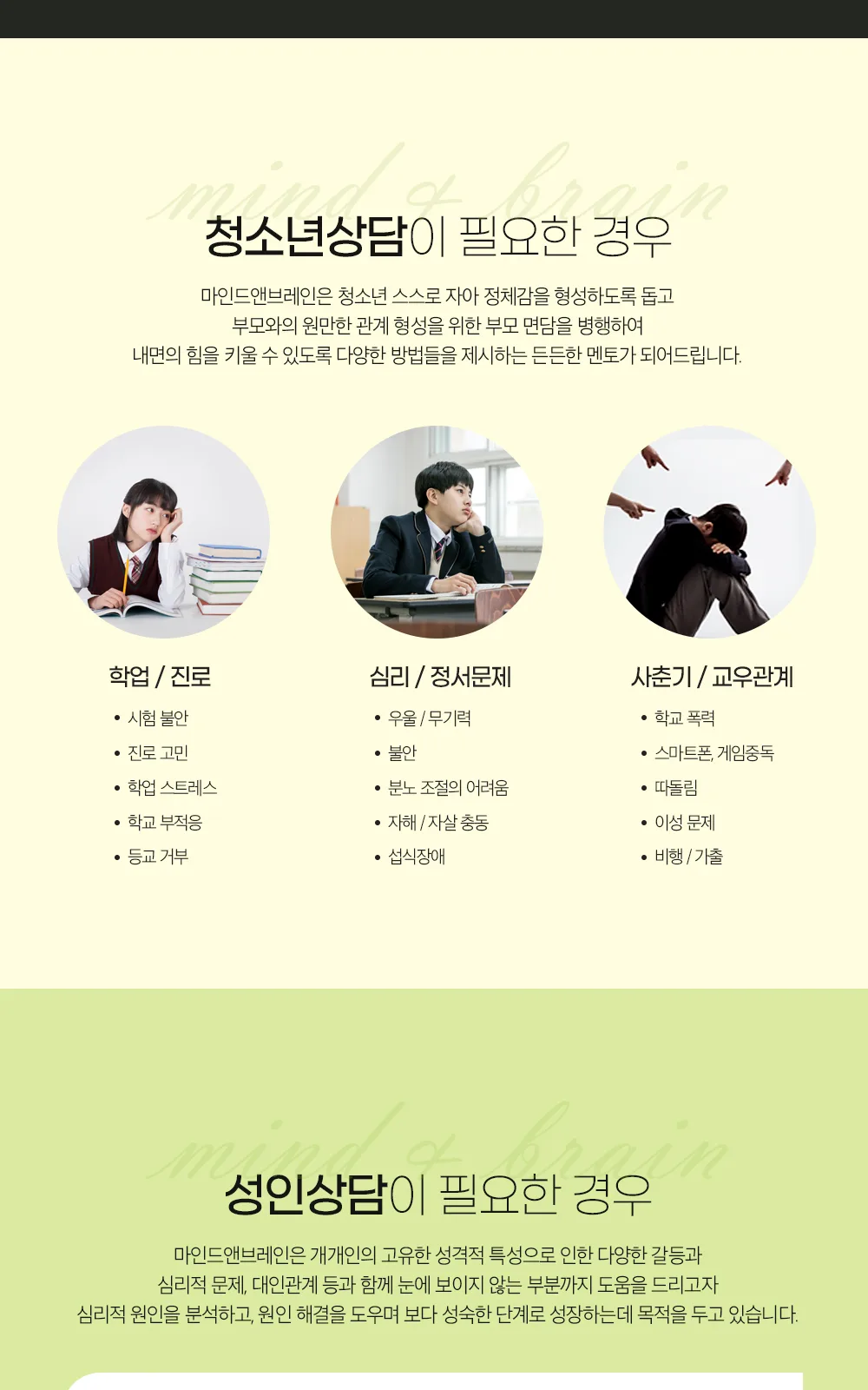 시술 상세 4