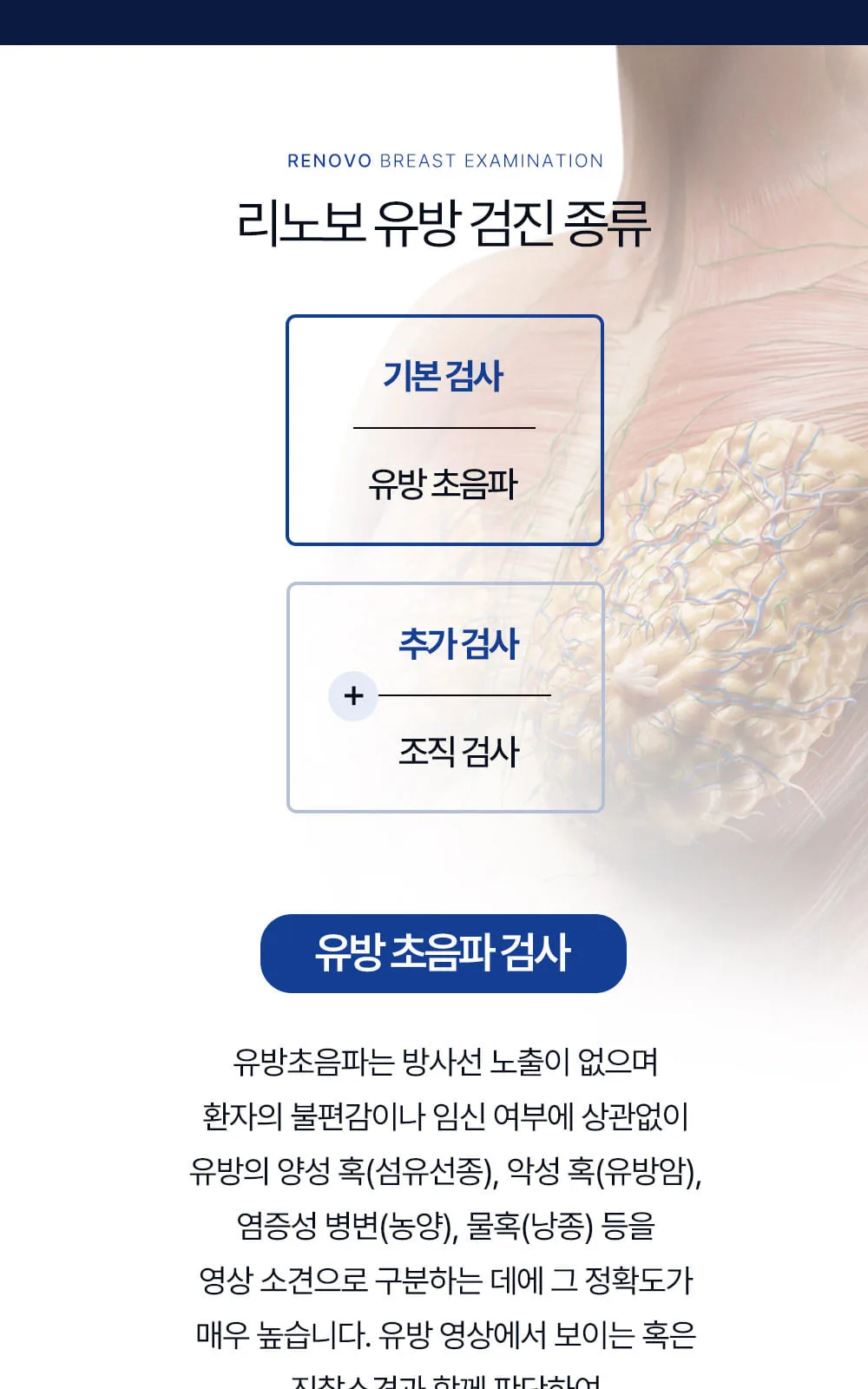 시술 상세 3