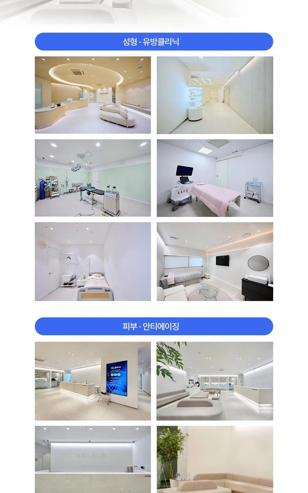 시술 상세 8