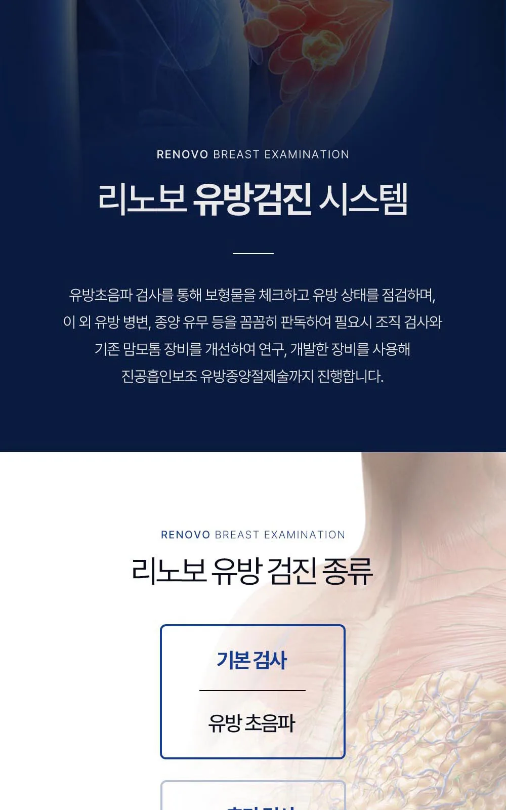시술 상세 16