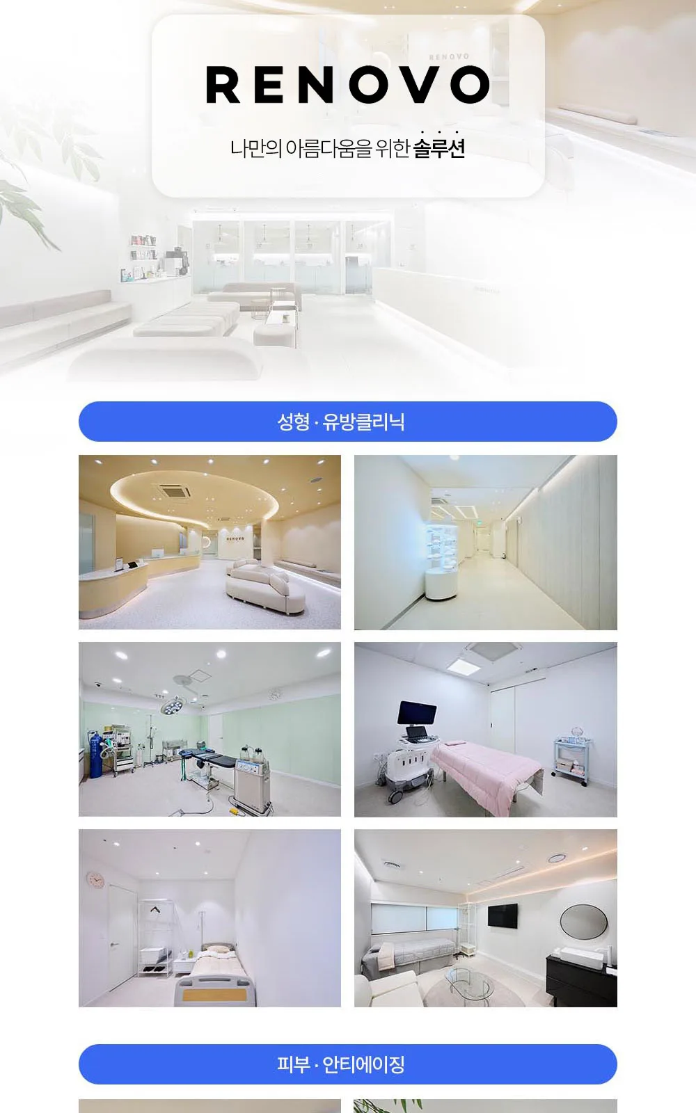 시술 상세 20