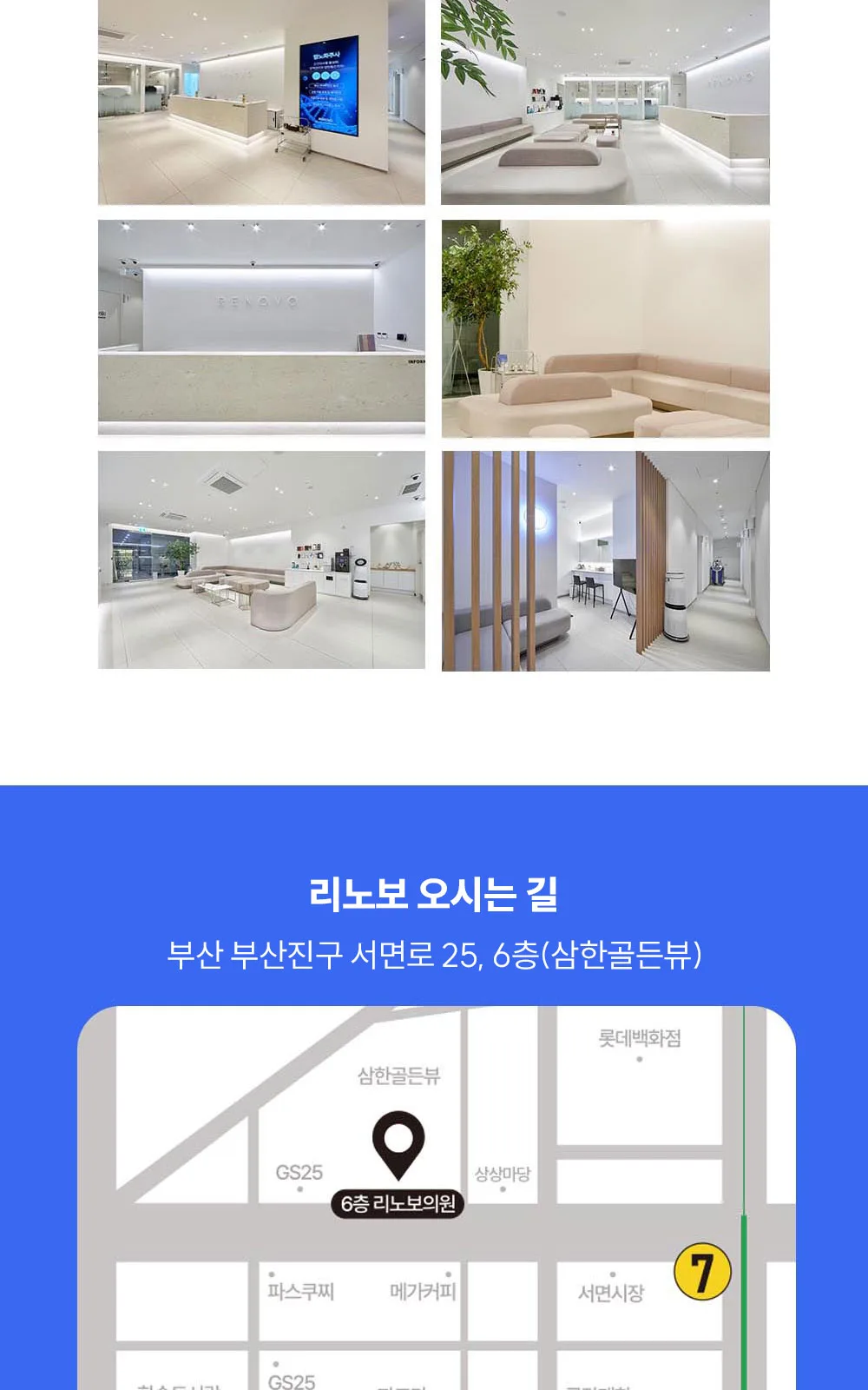 시술 상세 21