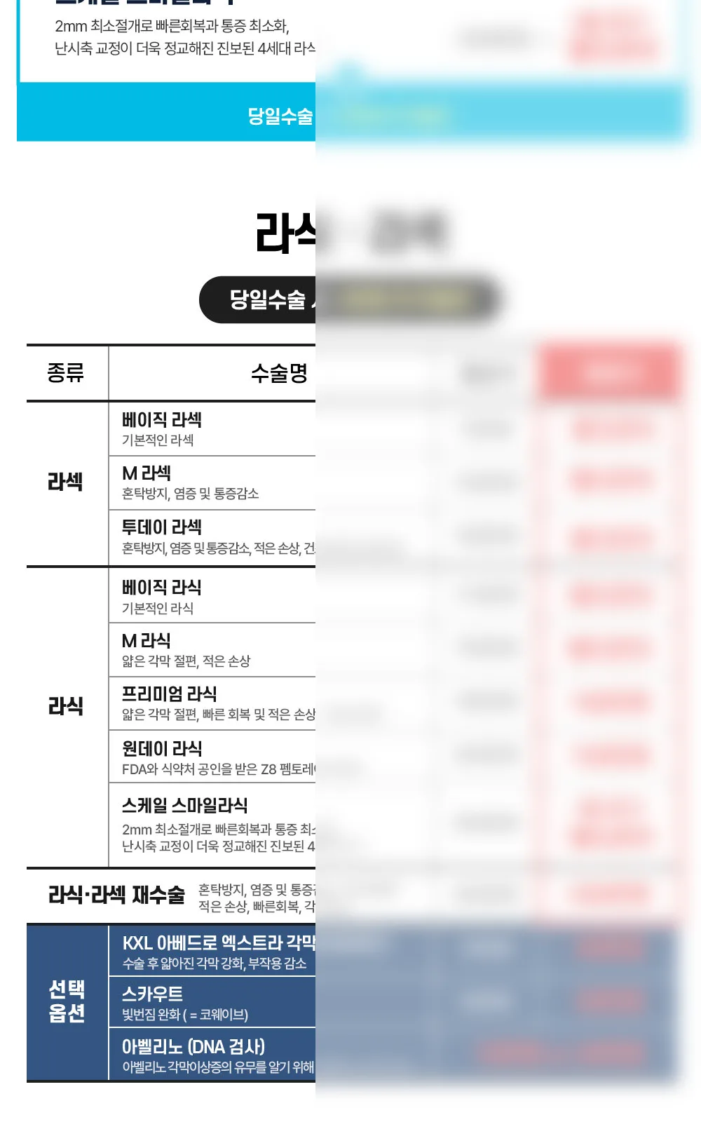 시술 상세 2