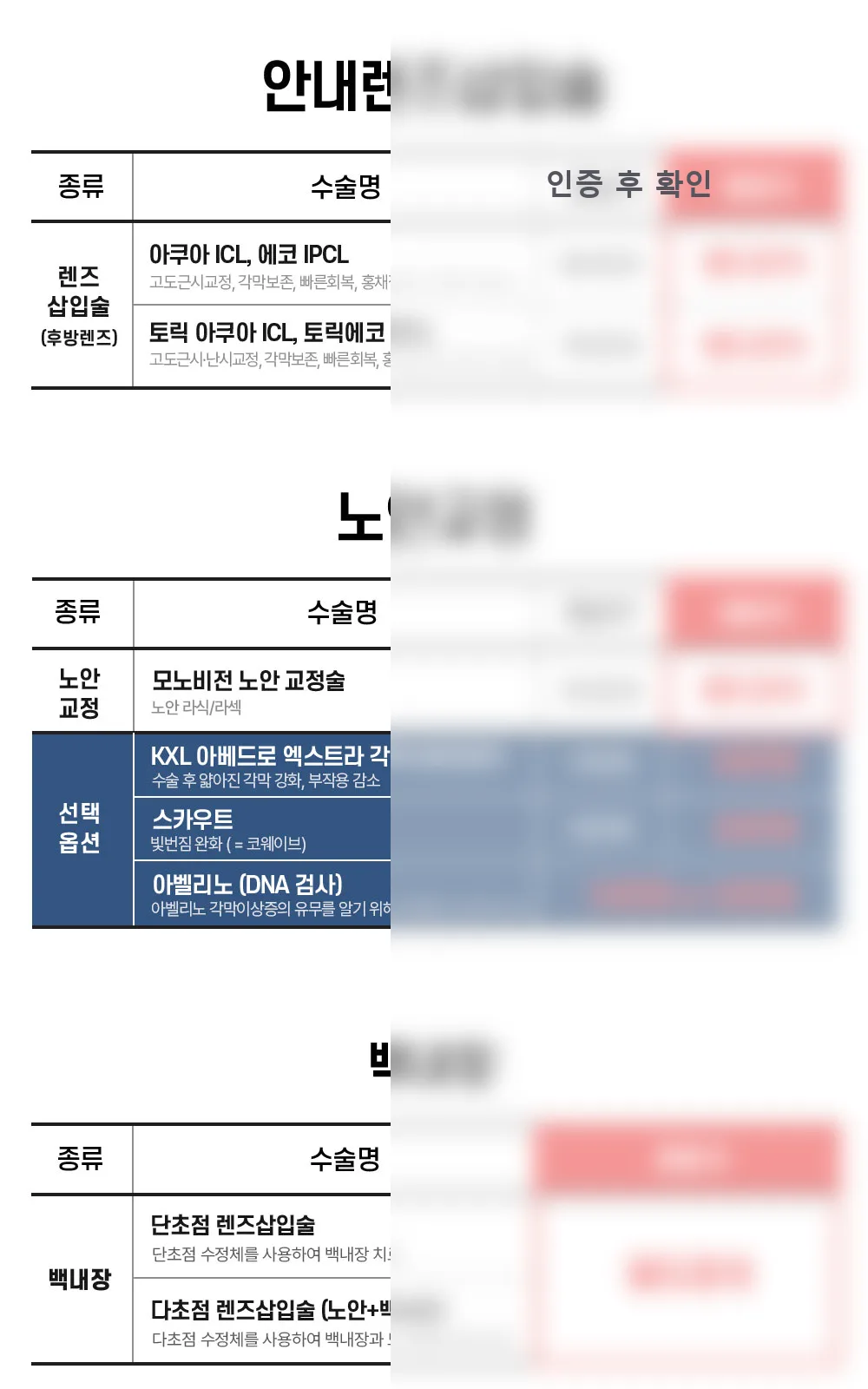시술 상세 3