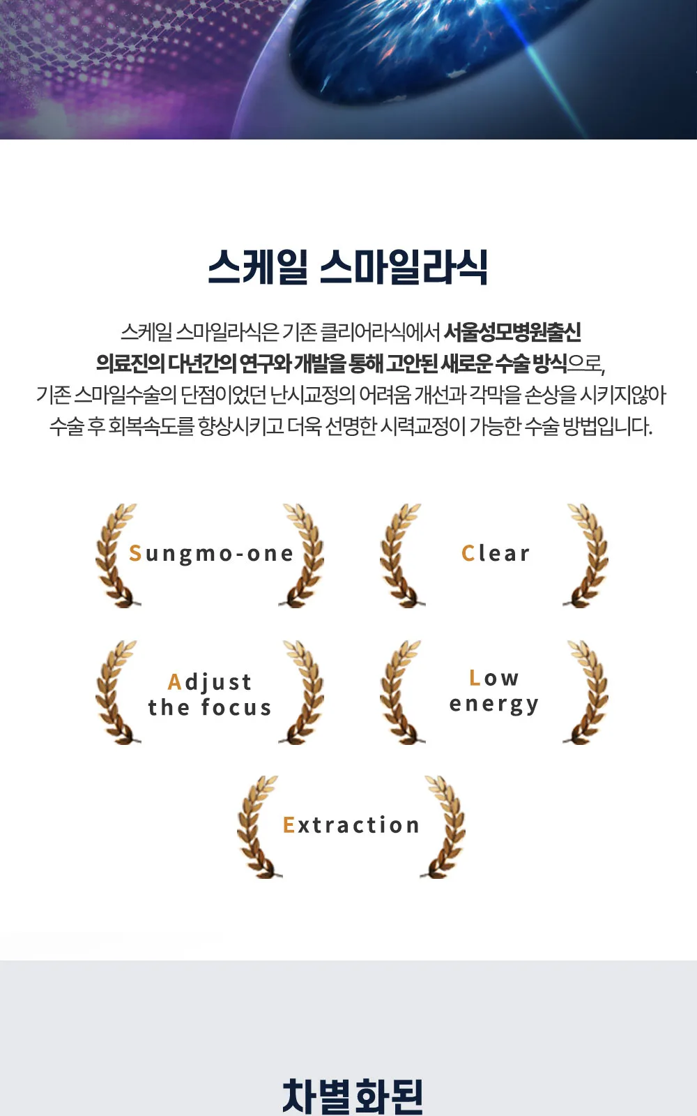 시술 상세 8